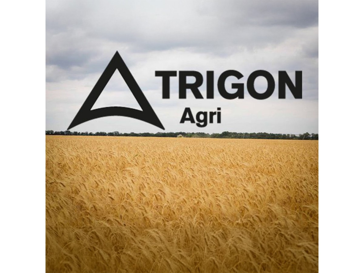 ООО "Тригон"