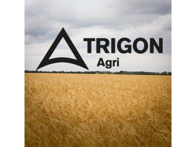 ООО "Тригон"